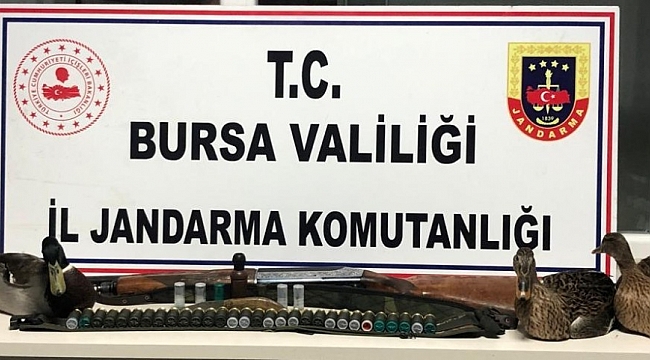 Kaçak avcılar, jandarma yakalandı