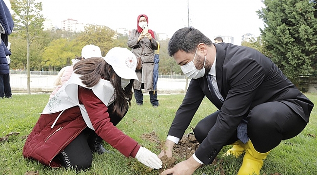 Kağıthane'de her köşebaşına ağaç