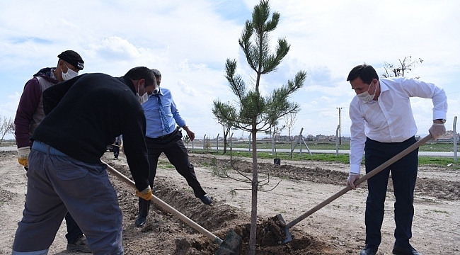 Karatay Belediyesi'nin "Yeşil Seferberliği" 2021 yılında da sürecek