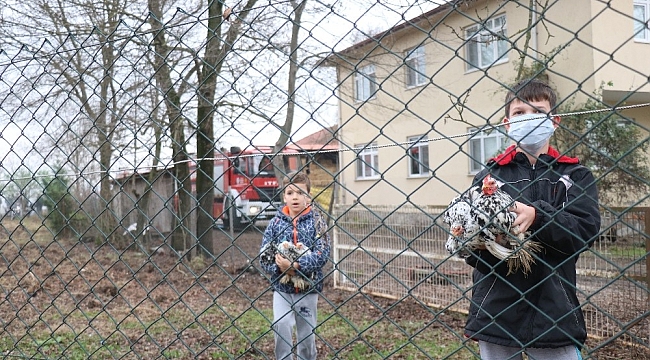 Kazan dairesi patladı, yaptıkları ilk iş kümesten tavukları kurtarmak oldu
