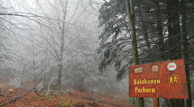 Kazdağları'na mevsimin ilk karı yağdı
