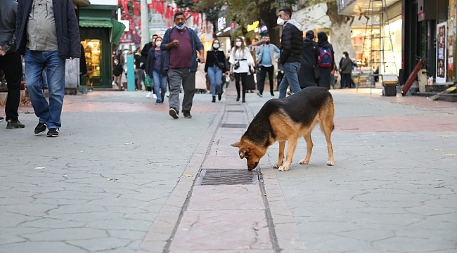 Kocaeli'de merkezinde iki caddeye girişlere sınırlama getirildi