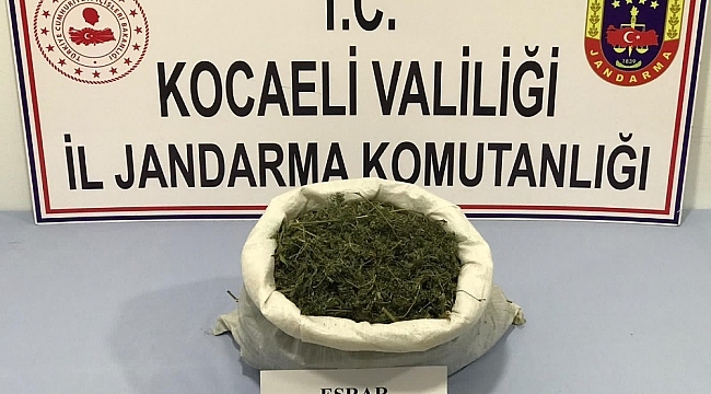 Kocaeli'de ormanlık alana gizlenmiş 2 kilo 330 gram esrar ele geçirildi