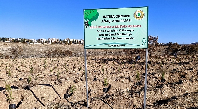 Kocakaya ailesi için tesis edilen 'hatıra ormanı'na 2 bin adet karaçam ve sedir fidanı dikildi
