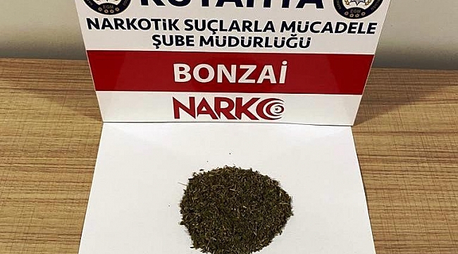 Kütahya'da iki şüphelinin üzerinde bonzai ele geçirildi