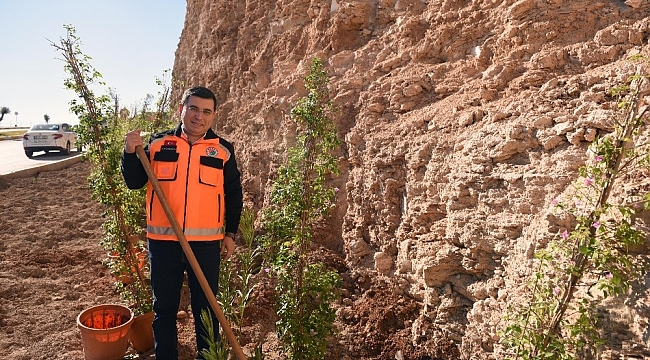 Masa Dağı'na 12 bin adet çiçek