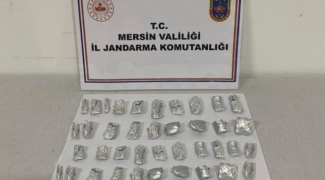 Mersin'de bonzai satıcıları suçüstü yakalandı