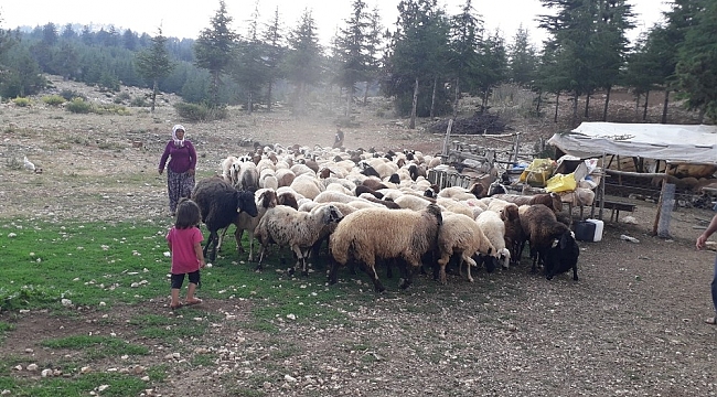 Mersin'de orman köylüsüne 8 milyon 700 bin TL kredi desteği verildi