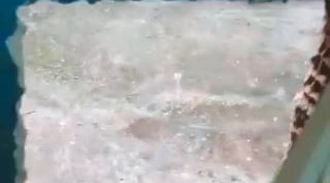 Önce duvarı sonra pandemi yasaklarını deldiler, polise suçüstü yakalandılar