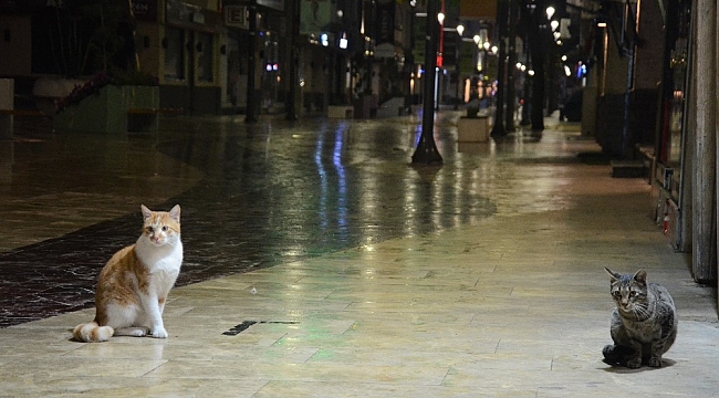Ordu sokaklarında kısıtlama sessizliği