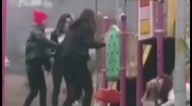 Parkta genç kıza dehşeti yaşattı, arkadaşları gülerek izledi