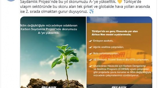 Pegasus, Karbon Saydamlık Projesi skorunu A-'ye yükseltti