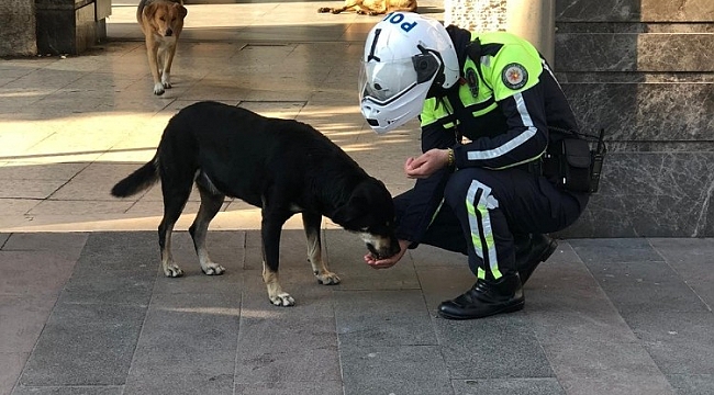 Polis ekipleri kısıtlamada sokak hayvanlarını besledi