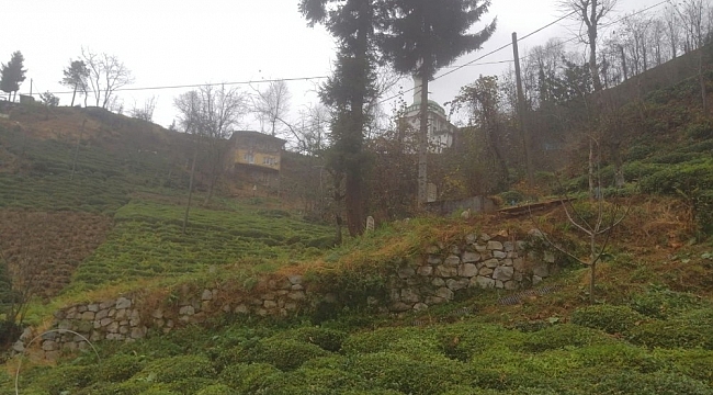 Rize'de aynı ailede yaşanan korona virüs ölümlerinin ardından şok iddia