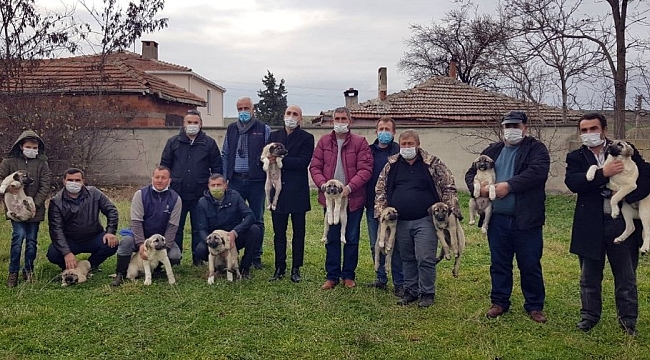 Saldırılar halkın uykularını kaçırmıştı, çareyi böyle buldular