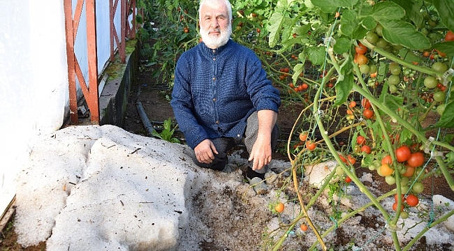 Sel, dağdan getirdiği molozları seraların içine bıraktı