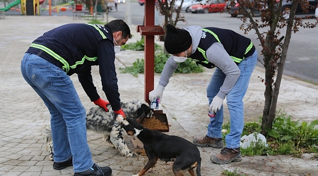 Serdivan Belediyesi'nden yeni yıl tedbirleri
