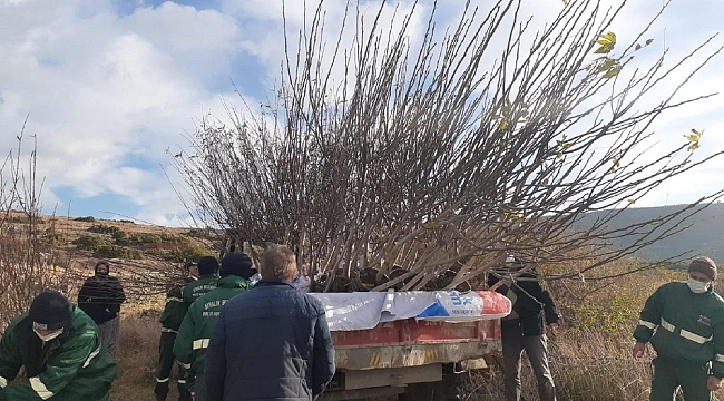 Şifa ormanı için bir araya geldiler