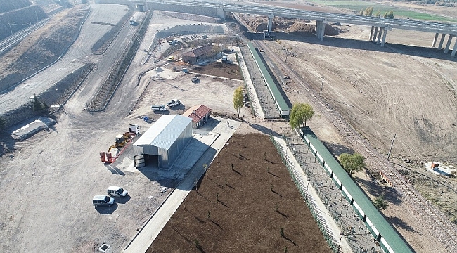 Sincan Belediyesinden sokak hayvanlarına 'sıcak yuva'
