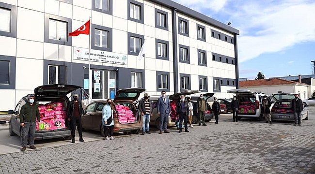 Sokağa çıkma kısıtlaması öncesi sokak hayvanları unutulmadı
