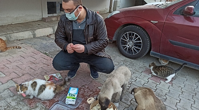 Sokak hayvanları için harekete geçti, mahalle sakinleri onu yalnız bırakmadı