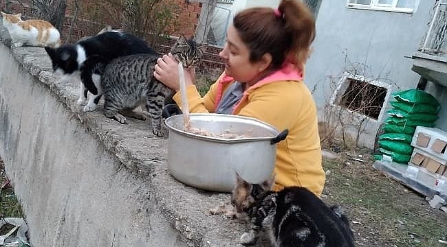 Sokak hayvanlarını evinin bahçesinde besliyor