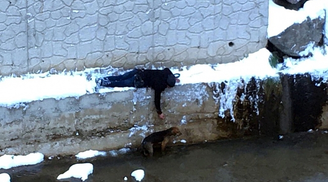 Sokak köpeğini kurtarmak için donmayı göze aldı