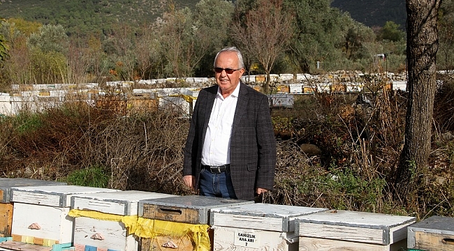 TAB Başkanı Şahin'den "arı ürünleri uyarısı"