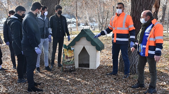 Tatvan Belediyesinden sokak hayvanlarına kulübe