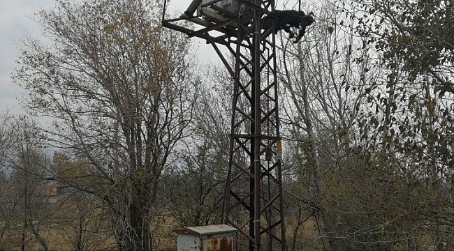 Trafo üzerinde yanmış halde bulundu