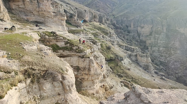 Tunceli'de kayalıklarda mahsur kalan keçileri AFAD ekipleri kurtardı