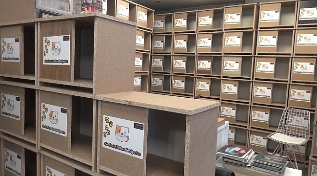 Ücretsiz dağıtılan kedi evlerine vatandaşlar büyük ilgi gösterdi