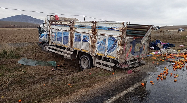 Virajı alamayan meyve yüklü kamyon şarampole uçtu: 2 ölü, 2 yaralı