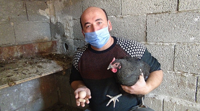 Yer fıstığı değil yumurta