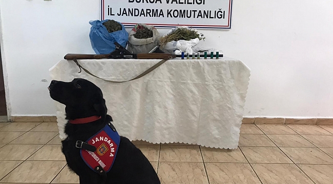 Zehir tacirleri Takip'e yakalandı