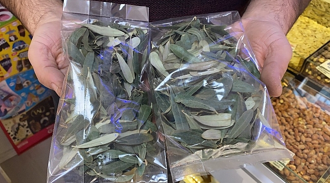 Zeytin yaprağına ilgi büyüyor