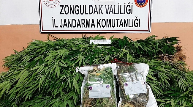 2020 yılı Zonguldak jandarmasında böyle geçti