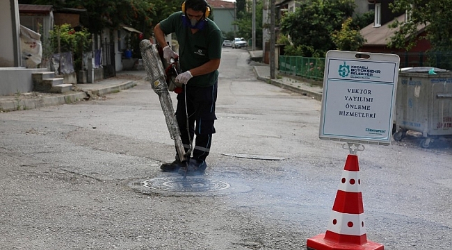 2020'de hem vektör, hem de salgınla mücadele edildi