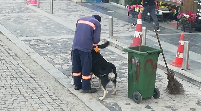 2021 yılının en güzel görüntüsü