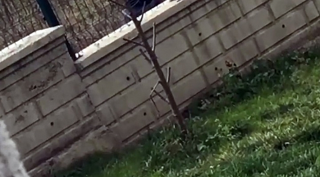 3 çocuğun yürek sızlatan görüntüleri