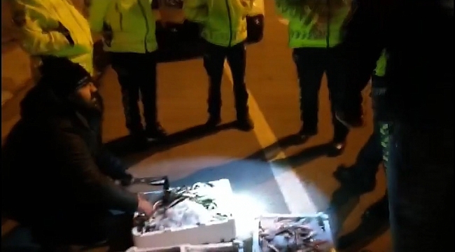 46 kasa balığa el konuldu