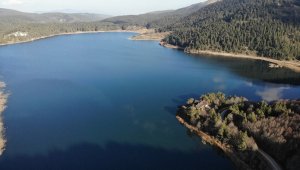 Abant Tabiat Parkı'nda sessizlik hakim