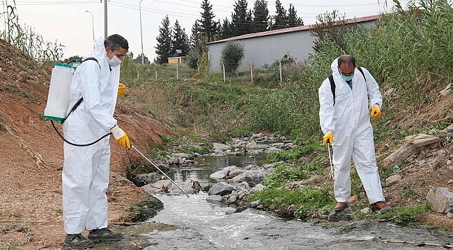 Adana'da sivrisinek ve haşereyle mücadele