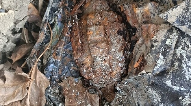 Ağaç kovuğuna el bombası saklayan iki şüpheli yakalandı