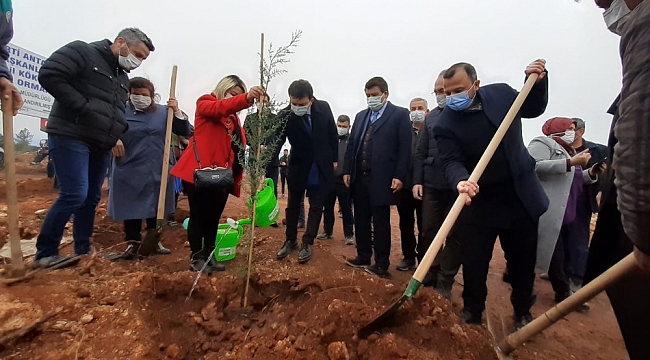 AK Parti'den İsmail Kökçe adına hatıra ormanı