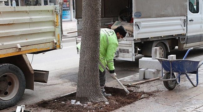 Aksaray'da yeşil alanların bakımı kış aylarında da devam ediyor