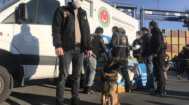 Ambarlı Limanı'nda muz konteynerinden uyuşturucu fışkırdı
