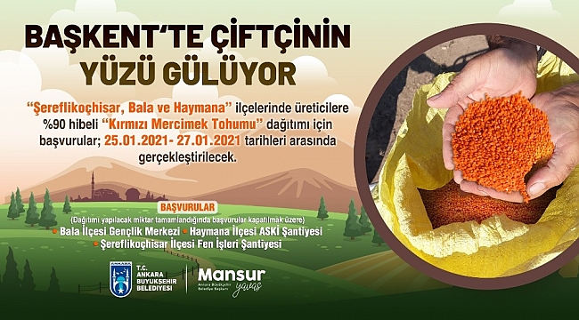 Ankara Büyükşehir Belediyesi'nden üç ilçede 400 ton "kırmızı mercimek" tohumu hibesi