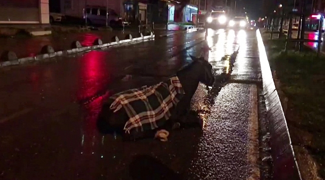 Arnavutköy'de minibüs ata çarptı