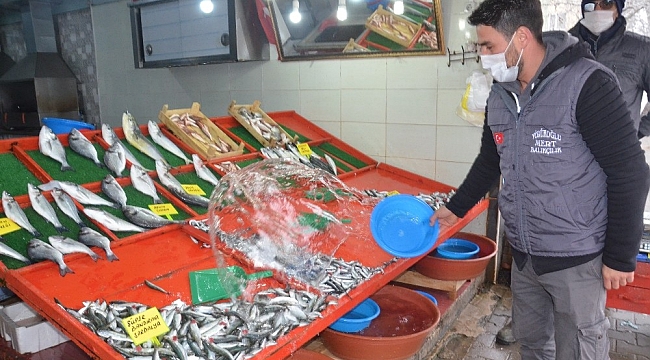 Aşırı avlanma hamsi fiyatlarını etkiliyor
